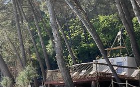 Le Castel De Fies